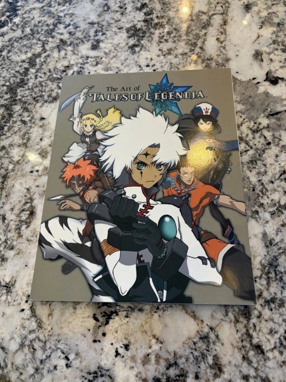 The Art of Tales of Legendia Game Artwork Softcover BradyGames